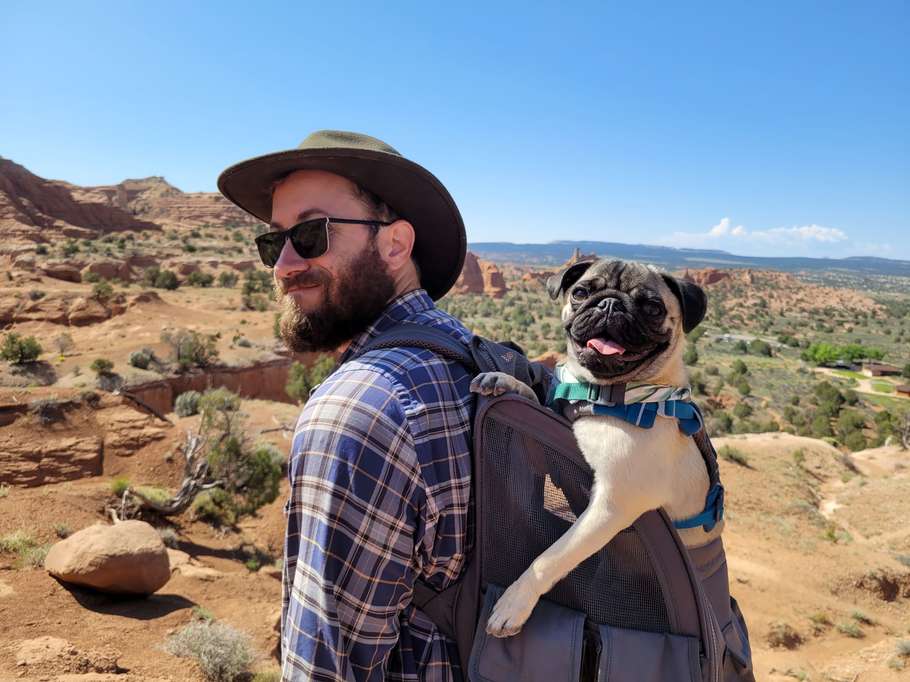 Man with dog in backpack on his back